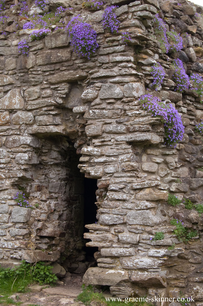 pendragon10_700