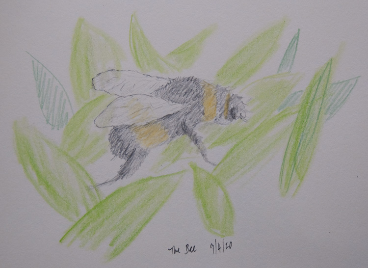 the_bee
