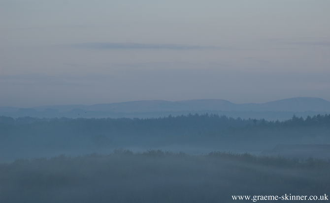 mistymorning_2_670