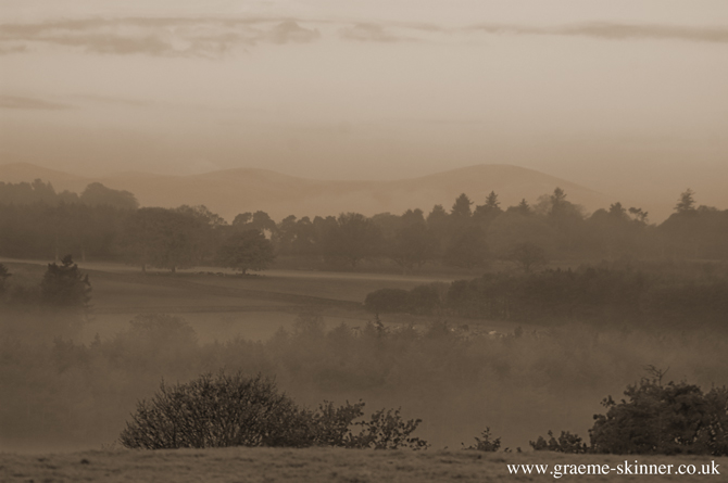mistymorning_sepia_670