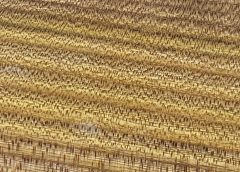 Shall I prepare the guest room…